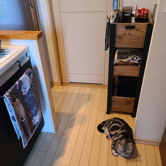 lovepeaceさんの部屋