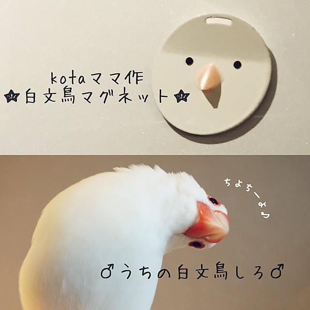 kinako_shiro_ginさんの実例写真