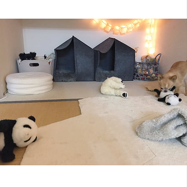 haruhinaさんの実例写真