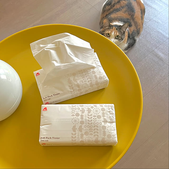 Misakiさんの実例写真