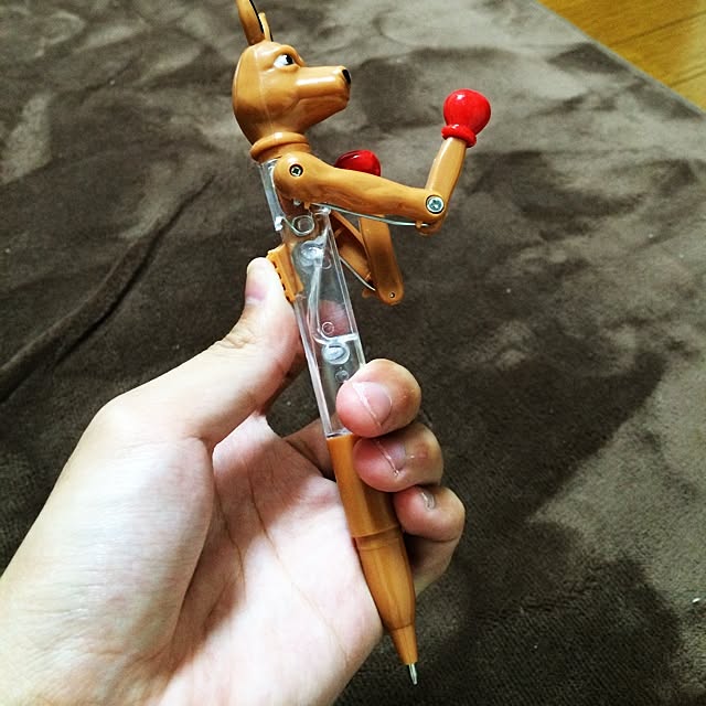 saopiusさんの実例写真