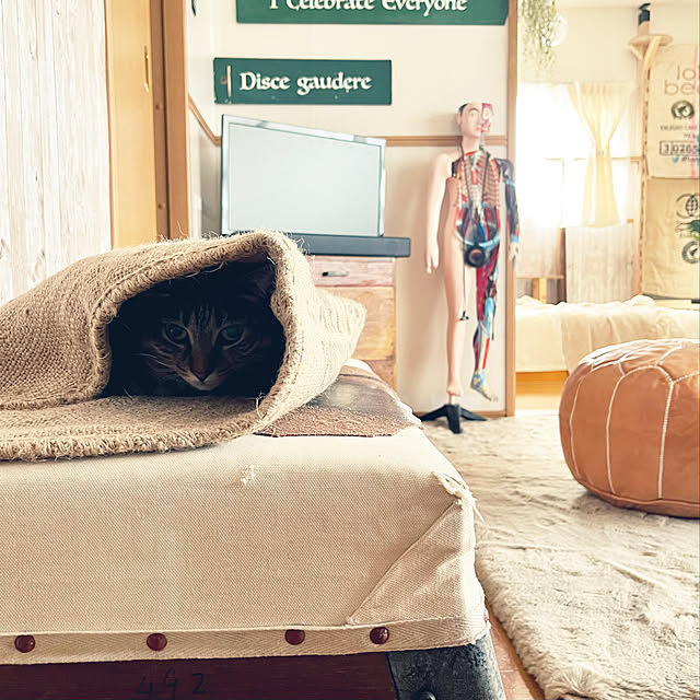 Mさんの実例写真