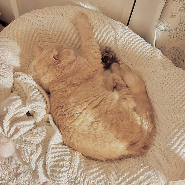naokoさんの部屋