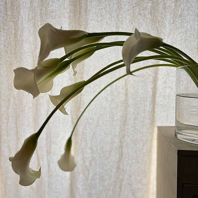 ot_aka1964さんの部屋