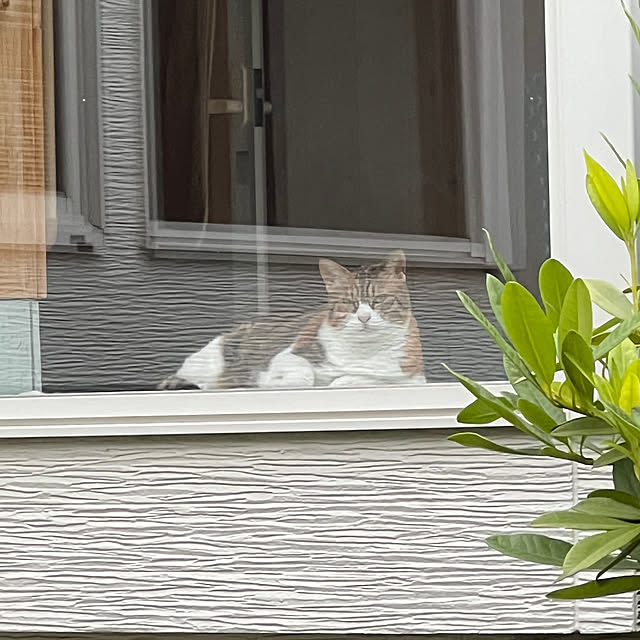 _taさんの部屋