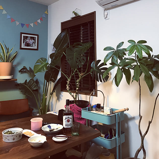 Hirokoさんの実例写真