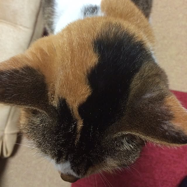 kyo.2.16さんの実例写真