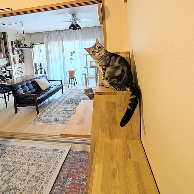 lovepeaceさんの実例写真