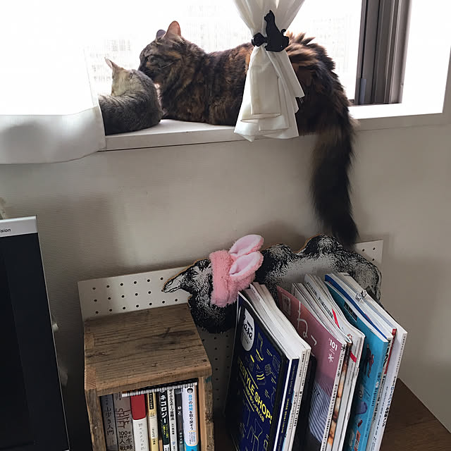 mikomaruさんの実例写真