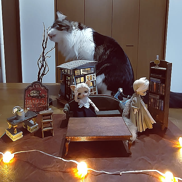 +CHIHARU+さんの実例写真