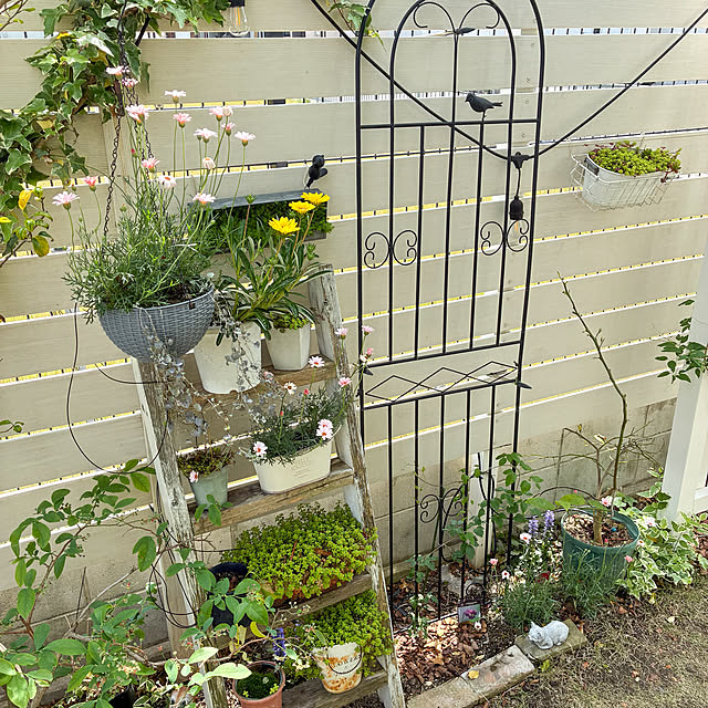 PEKO3_3さんの実例写真