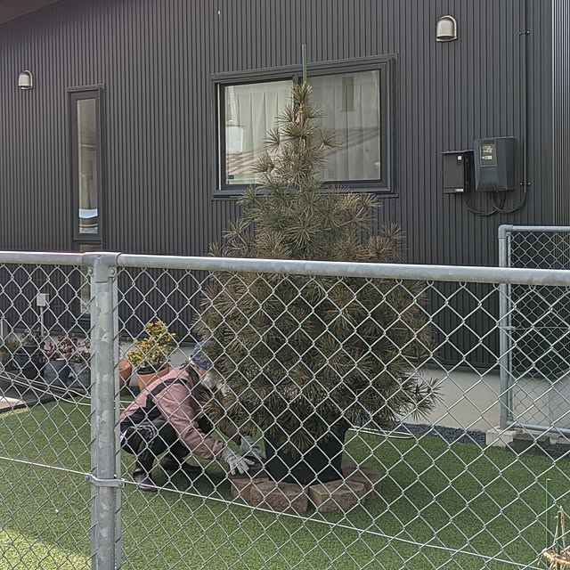 ponhanaさんの実例写真