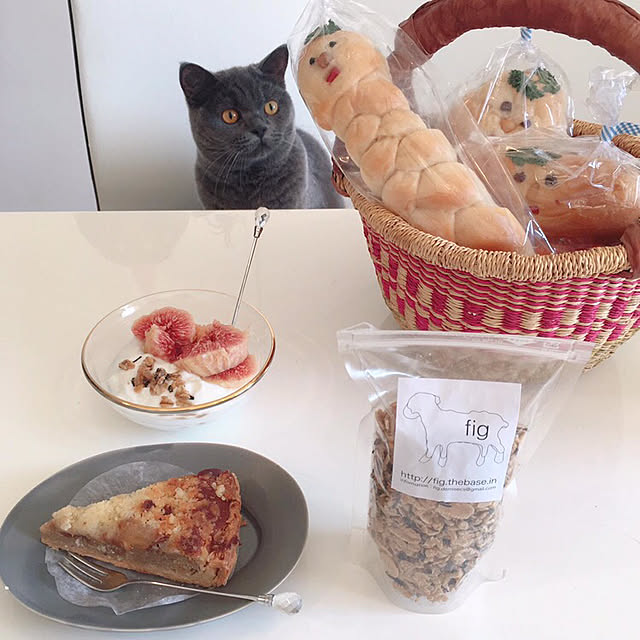 toyoさんの実例写真