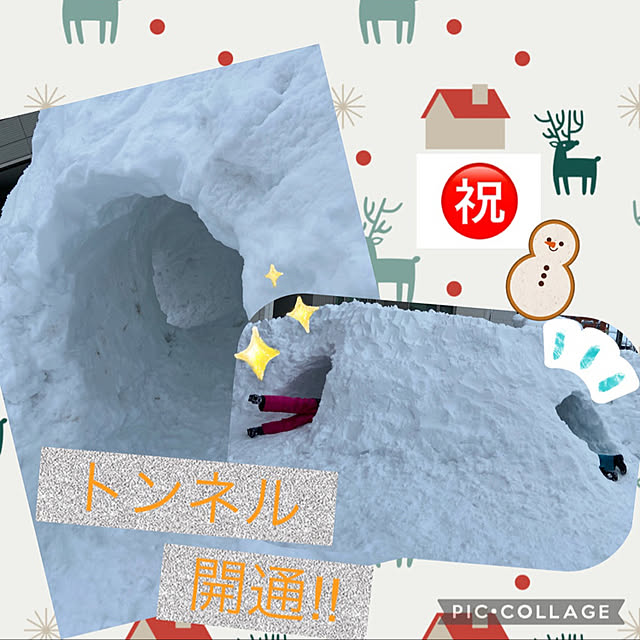 ikさんの実例写真