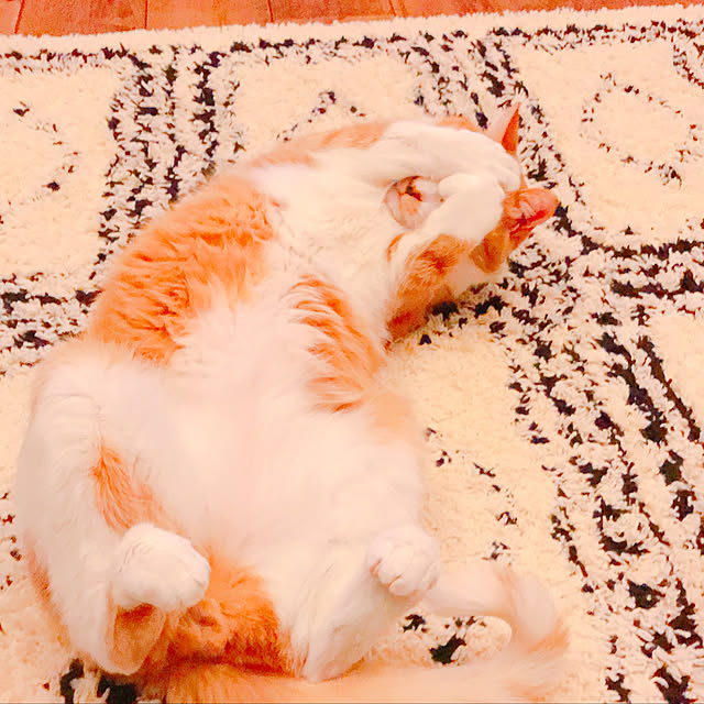 moko914さんの実例写真
