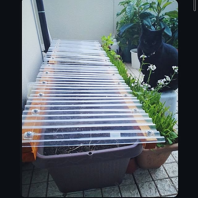 mntcさんの部屋