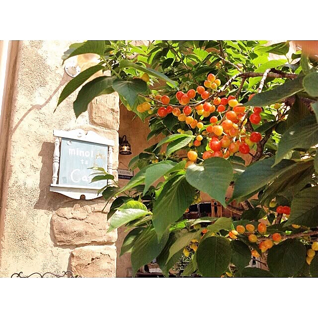 minoi_ts_cafeさんの実例写真