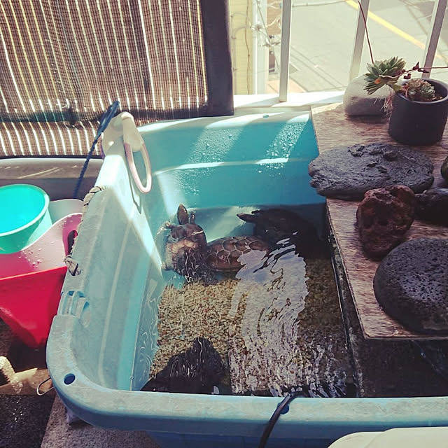 enoylnoiuyさんの実例写真