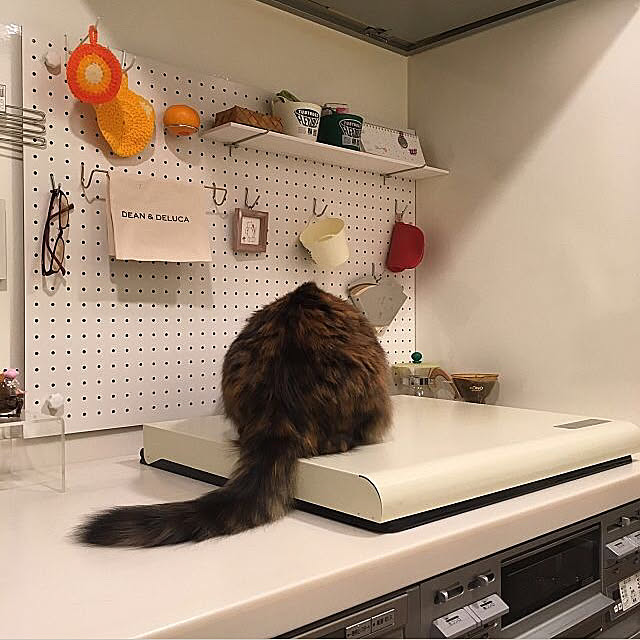 mikomaruさんの実例写真