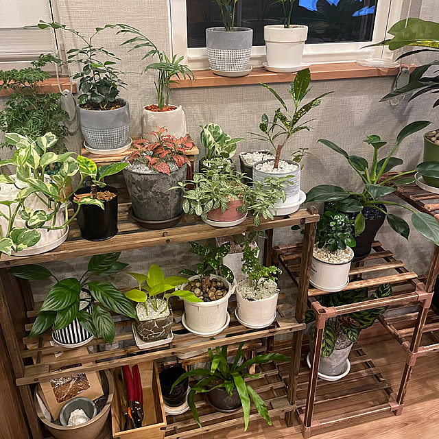ikuzakさんの部屋
