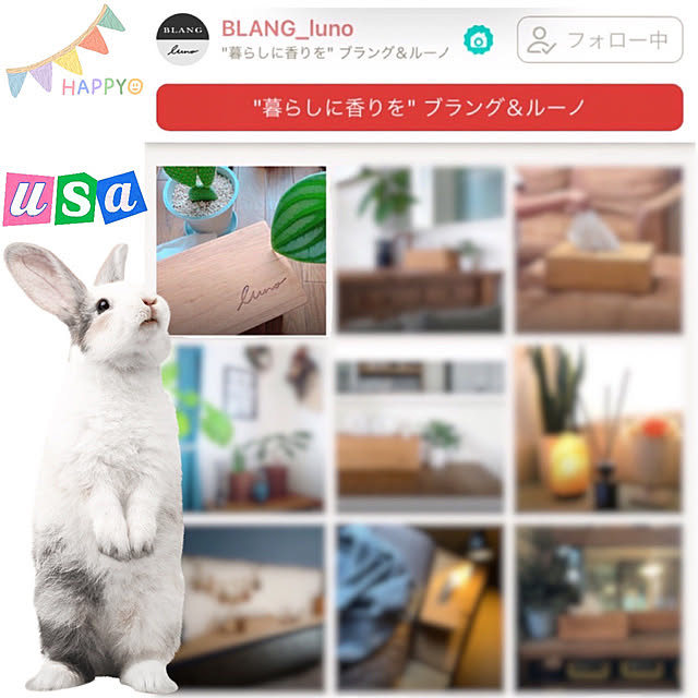 Llatte-usaさんの実例写真