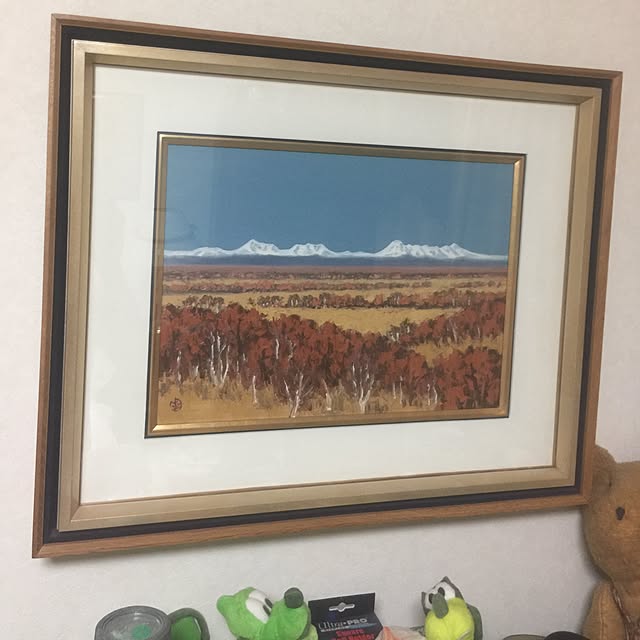 Masaruさんの実例写真