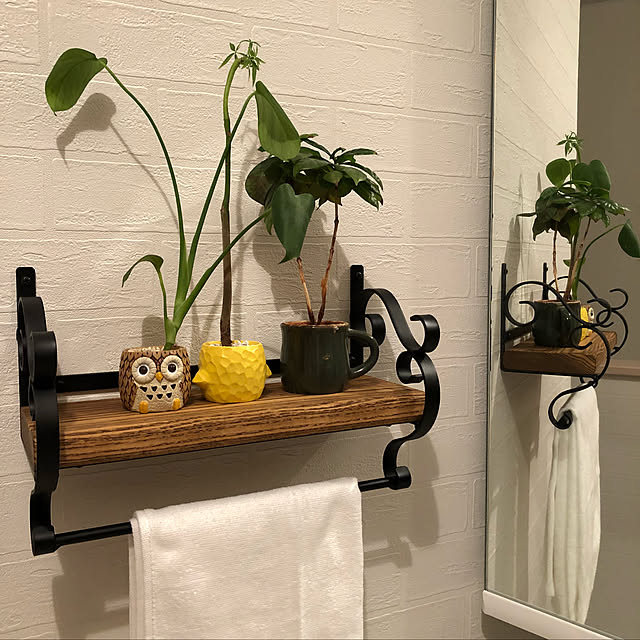 棚/観葉植物/カフェ風/雑貨のインテリア実例 - 2018-04-27 10:26:45