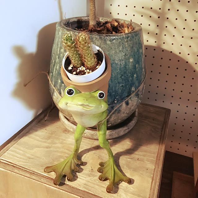 Sanshiroさんの実例写真