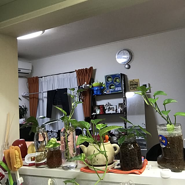 mintさんの実例写真