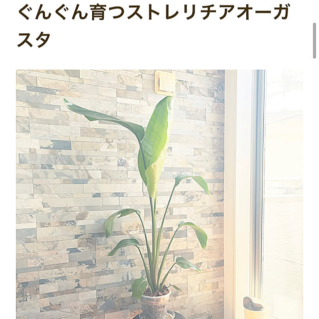 MOMOMAMAさんの部屋