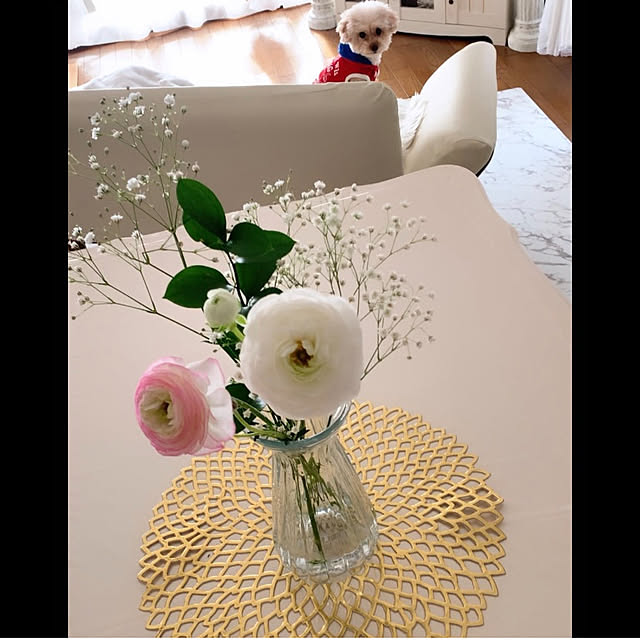 Kanmiさんの部屋