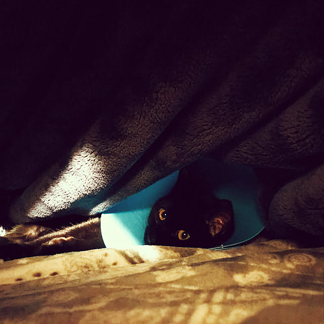 Machiさんの実例写真
