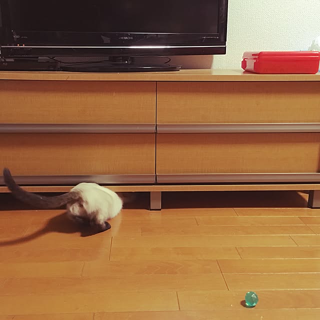 towaさんの実例写真