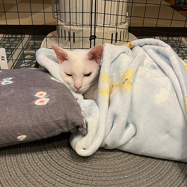 hanaさんの部屋