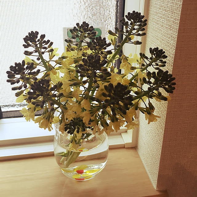 yumi.coroさんの実例写真