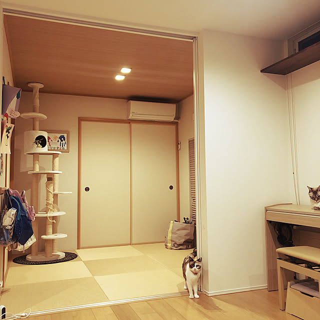 Reiさんの実例写真