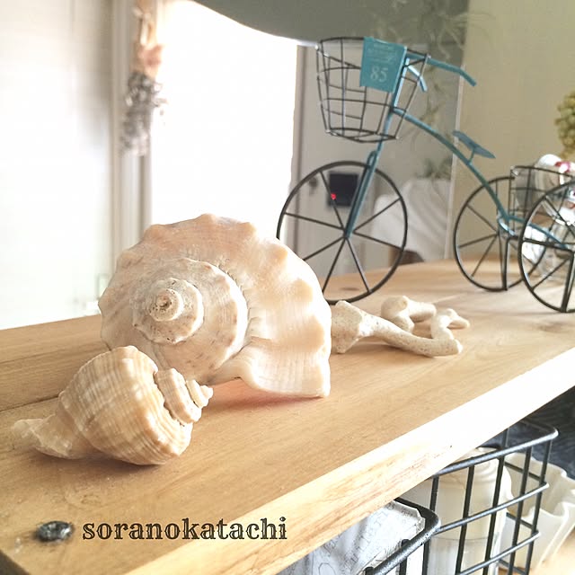 soranokatachiさんの実例写真