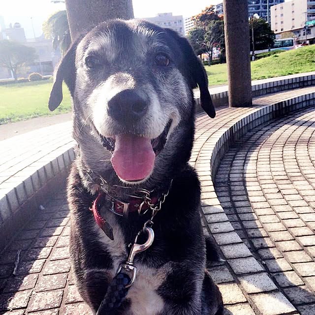 mmipさんの実例写真