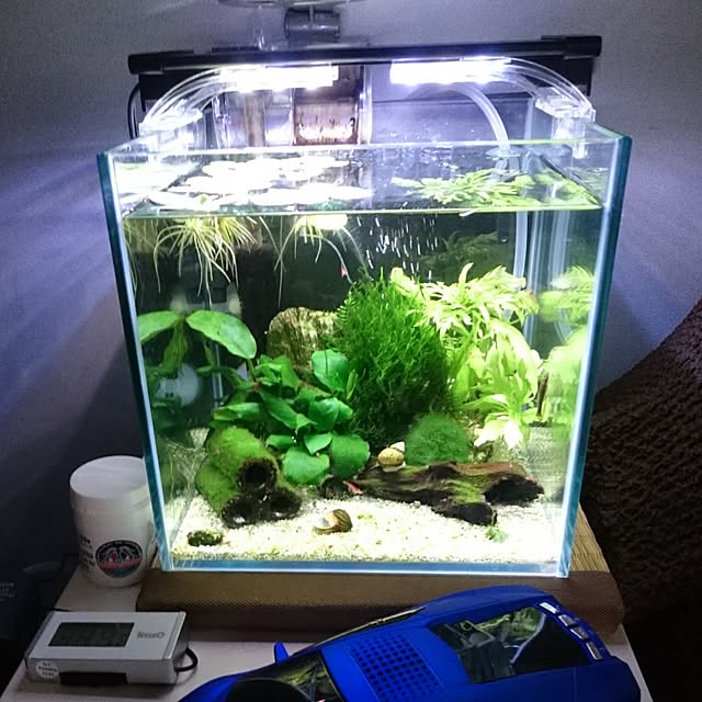 Type.Rさんの実例写真