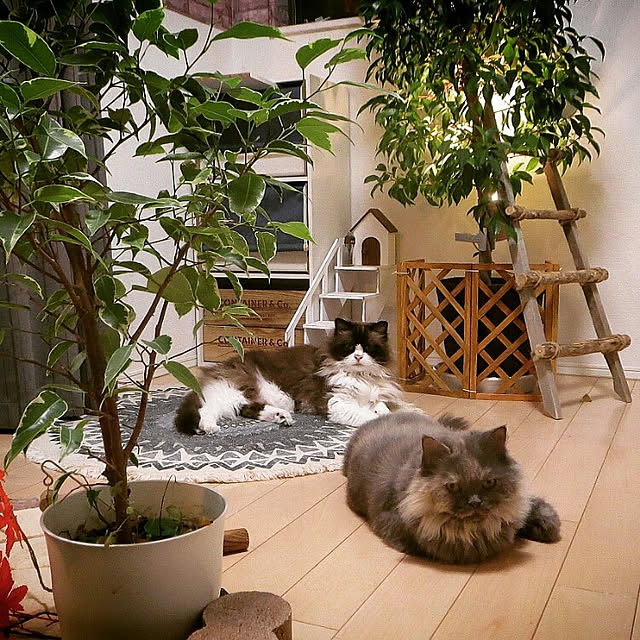 hiroshiさんの実例写真