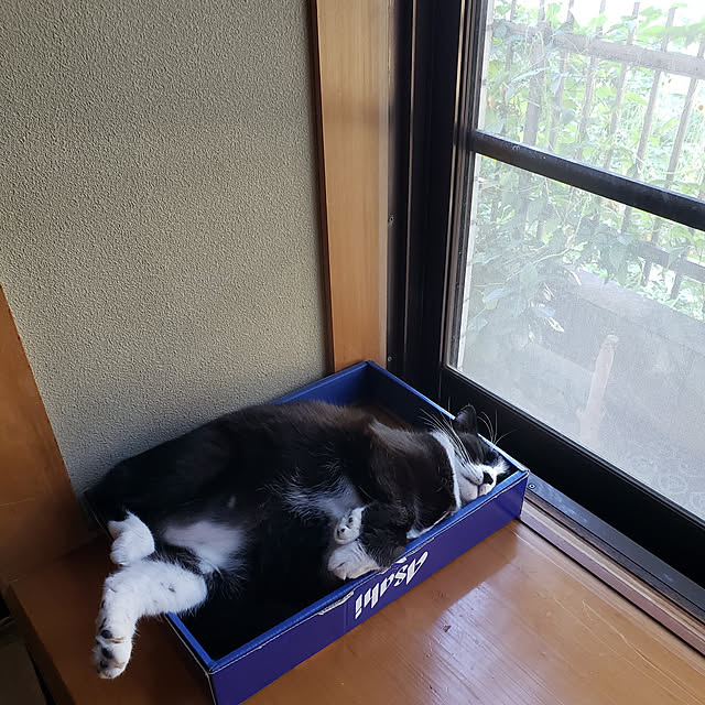 Mayumi8888さんの実例写真