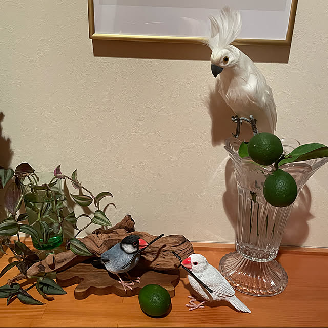 kakoさんの実例写真