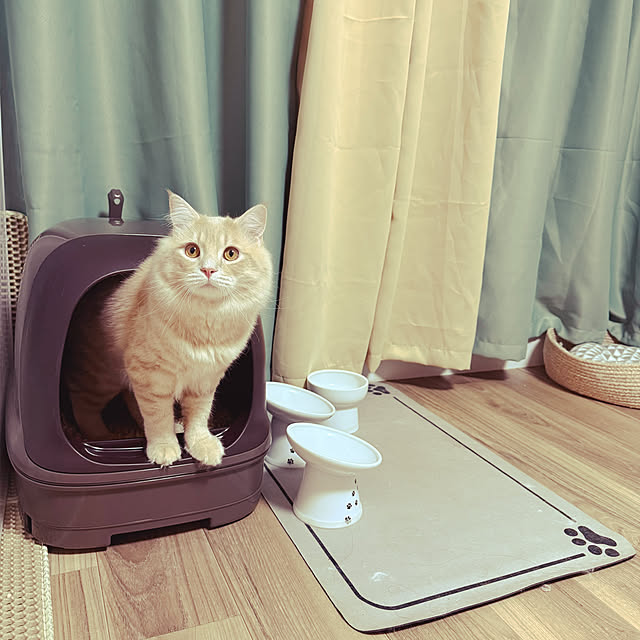 Rikkoさんの部屋