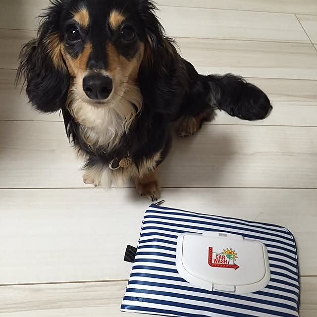 manoさんの実例写真