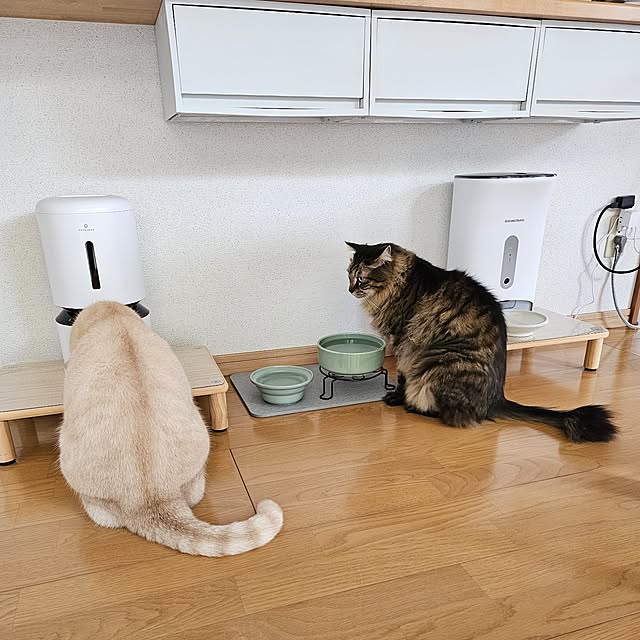 makoさんの部屋