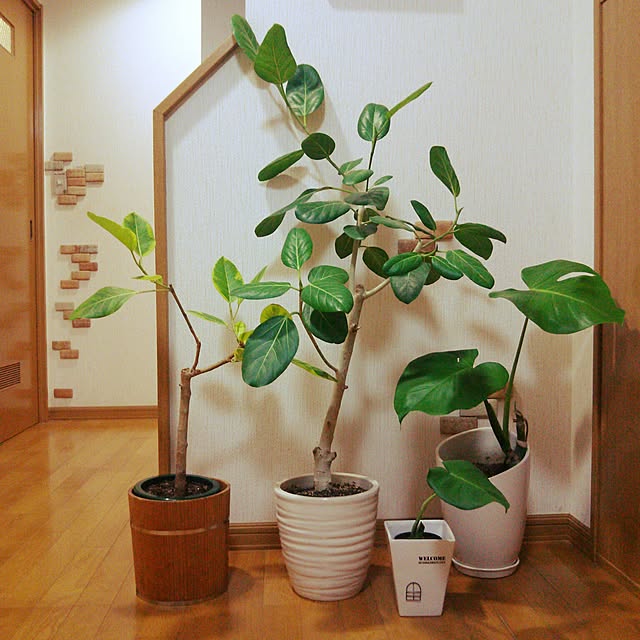 chocoruさんの実例写真