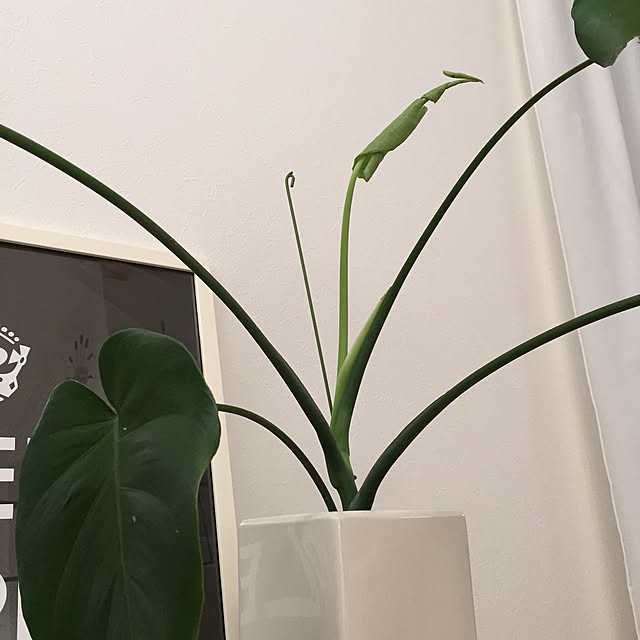 k_t_k_3さんの実例写真
