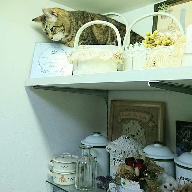 Ayuさんの実例写真