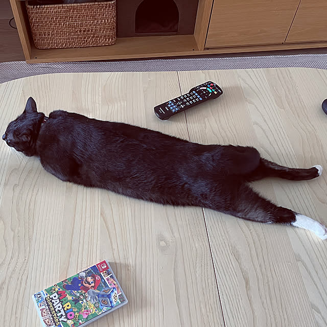 masamasaさんの実例写真