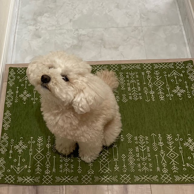 madamkaoriさんの部屋